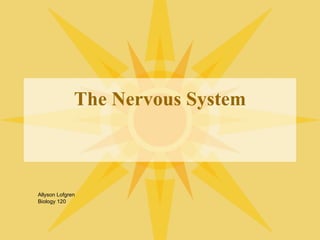 The Nervous System Allyson Lofgren Biology 120 