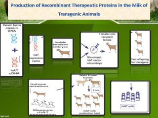 Recombinant protein and pharmaceuticals production in microbes.pptx