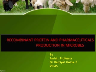 RECOMBINANT PROTEIN AND PHARMACEUTICALS
PRODUCTION IN MICROBES
By
Assist.. Professor
Dr. Berciyal Golda. P
VICAS
 