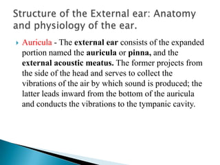 Auricula- The external ear consists of the expanded portion named the auricula or pinna, and the external acoustic meatus. The former projects from the side of the head and serves to collect the vibrations of the air by which sound is produced; the latter leads inward from the bottom of the auricula and conducts the vibrations to the tympanic cavity.Structure of the External ear: Anatomy and physiology of the ear.