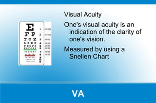 An ideal state of the eye, basically normal vision 