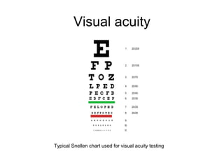 Visual acuity
Typical Snellen chart used for visual acuity testing
 