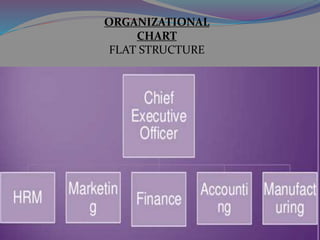 ORGANIZTIONAL CHART
ORGANIZATIONAL
CHART
FLAT STRUCTURE
 