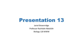 Presentation 13
Janiel Brownridge
Professor Rashidah Abdullah
Biology 120 WWW
 
