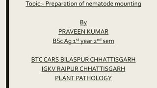 Topic:- Preparation of nematode mounting
By
PRAVEEN KUMAR
BSc Ag 1st year 2nd sem
BTC CARS BILASPUR CHHATTISGARH
IGKV RAIPUR CHHATTISGARH
PLANT PATHOLOGY
 