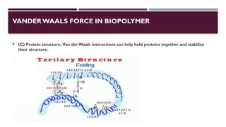 VANDER WAALS FORCE IN BIOPOLYMER
 (C) Protein structure: Van der Waals interactions can help hold proteins together and stabilize
their structure.
 