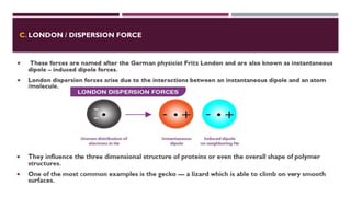 C. LONDON / DISPERSION FORCE
 