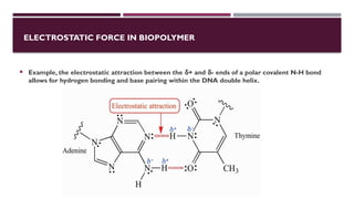 ELECTROSTATIC FORCE IN BIOPOLYMER
 Example, the electrostatic attraction between the + and - ends of a polar covalent N-H bond
δ δ
allows for hydrogen bonding and base pairing within the DNA double helix.
 