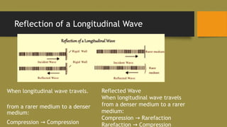 Reflection of a Longitudinal Wave
When longitudinal wave travels.
from a rarer medium to a denser
medium:
Compression Compression
→
Reflected Wave
When longitudinal wave travels
from a denser medium to a rarer
medium:
Compression Rarefaction
→
Rarefaction Compression
→
 