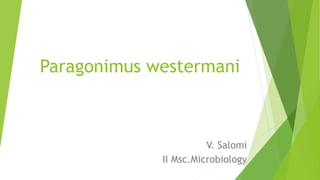 Paragonimus westermani
V. Salomi
II Msc.Microbiology
 