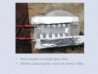 • More couples in a single glass slide. 
• Still the contact points were not clearly visible. 
 