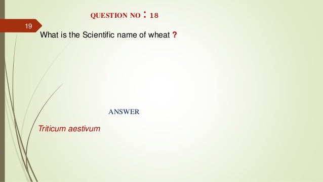 Food technology quiz