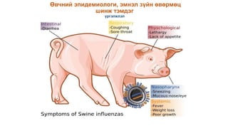 Өвчний эпидемиологи, эмнэл зүйн өвөрмөц
шинж тэмдэг
үргэлжлэл
 