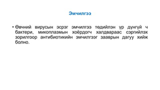 Эмчилгээ
• Өвчний вирусын эсрэг эмчилгээ төдийлэн үр дүнгүй ч
бактери, микоплазмын хоёрдогч халдвараас сэргийлэх
зорилгоор антибиотикийн эмчилгээг зааврын дагуу хийж
болно.
 