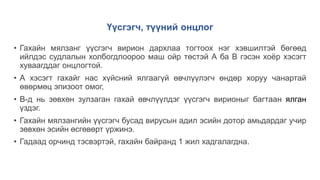 • Гахайн мялзанг үүсгэгч вирион дархлаа тогтоох нэг хэвшилтэй бөгөөд
ийлдэс судлалын холбогдлоороо маш ойр төстэй А ба В гэсэн хоёр хэсэгт
хуваагддаг онцлогтой.
• А хэсэгт гахайг нас хүйсний ялгаагүй өвчлүүлэгч өндөр хоруу чанартай
өвөрмөц эпизоот омог,
• В-д нь зөвхөн зулзаган гахай өвчлүүлдэг үүсгэгч вирионыг багтаан ялган
үздэг.
• Гахайн мялзангийн үүсгэгч бусад вирусын адил эсийн дотор амьдардаг учир
зөвхөн эсийн өсгөвөрт үржинэ.
• Гадаад орчинд тэсвэртэй, гахайн байранд 1 жил хадгалагдна.
Үүсгэгч, түүний онцлог
 