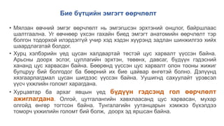 Бие бүтцийн эмгэгт өөрчлөлт
• Мялзан өвчний эмгэг өөрчлөлт нь эмгэгшсэн эрхтэний онцлог, байршлаас
шалтгаална. Уг өвчнөөр үхсэн гахайн биед эмгэгт анатомийн өөрчлөлт тэр
болгон тодорхой илэрдэггүй учир хэд хэдэн хүүрэнд задлан шинжилгээ хийх
шаардлагатай болдог.
• Хурц хэлбэрийн үед цусан халдвартай төстэй цус харвалт үүссэн байна.
Арьсны доорх эслэг, цуллагийн эрхтэн, төвөнх, давсаг, бүдүүн гэдэсний
хананд цус харвасан байна. Бөөрөнд үүссэн цус харвалт олон тооны жижиг
булцруу бий болгодог ба бөөрний их бие цайвар өнгөтэй болно. Дэлүүнд
хязгаарлагдмал цусан шигдээс үүссэн байна. Уушигнд сахуулайт үрэвсэл
үүсч үхжлийн голомт харагдана.
• Хурцавтар ба архаг явцын үед бүдүүн гэдсэнд гол өөрчлөлт
ажиглагдана. Олгой, цутгалангийн хавхлаасанд цус харвасан, мухар
олгойд өнгөр тогтсон байна. Тунгалагийн уутанцарын хэмжээ бүхэлдээ
томорч үхжилийн голомт бий болж, доорх эд яршсан байна.
 