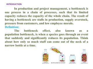 Bottleneck Effect Definition