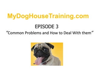 MyDogHouseTraining.com EPISODE 3“Common Problems and How to Deal With them” 