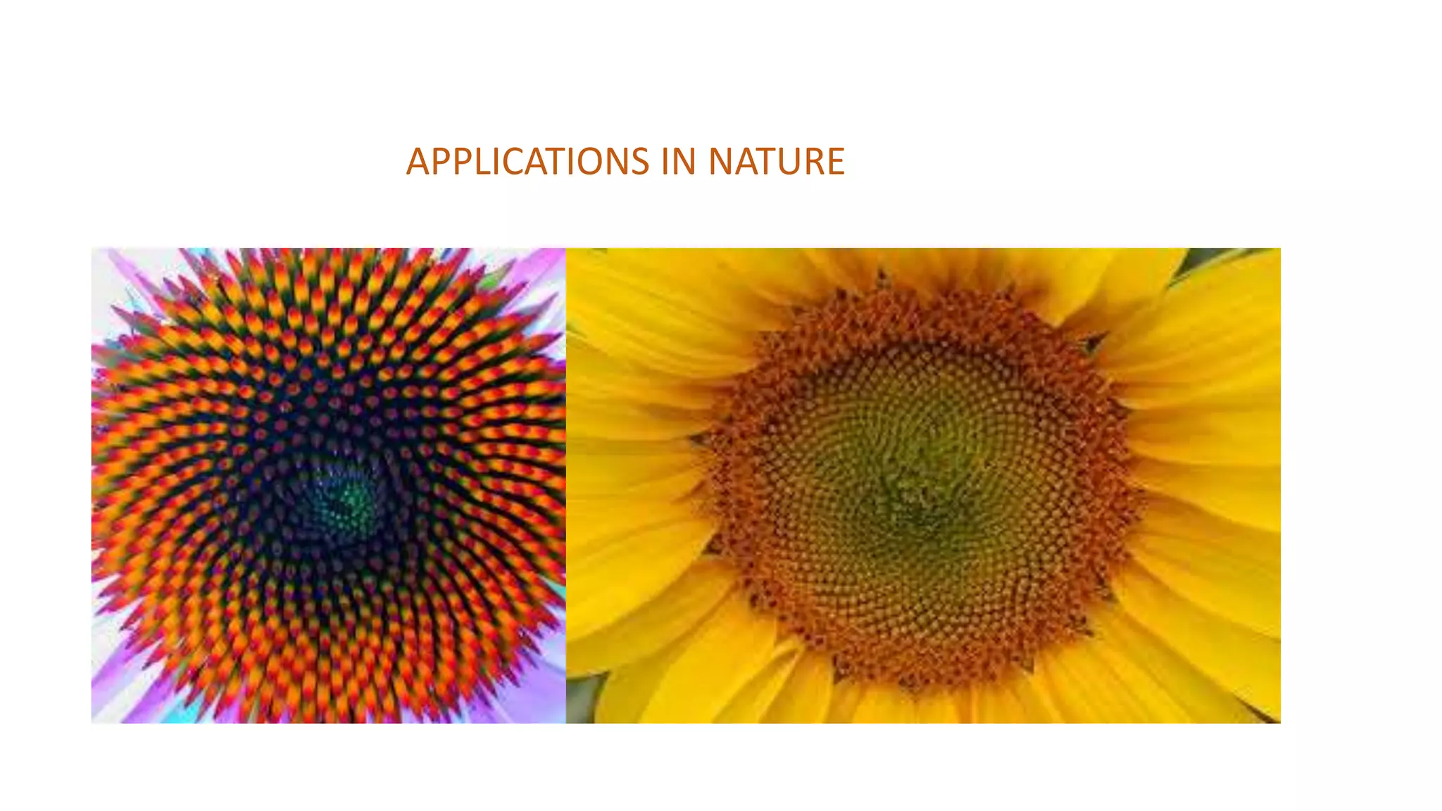APPLICATIONS IN NATURE
 