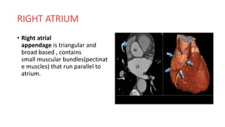 Cardiac anatomy and imaging techniques | PPTX