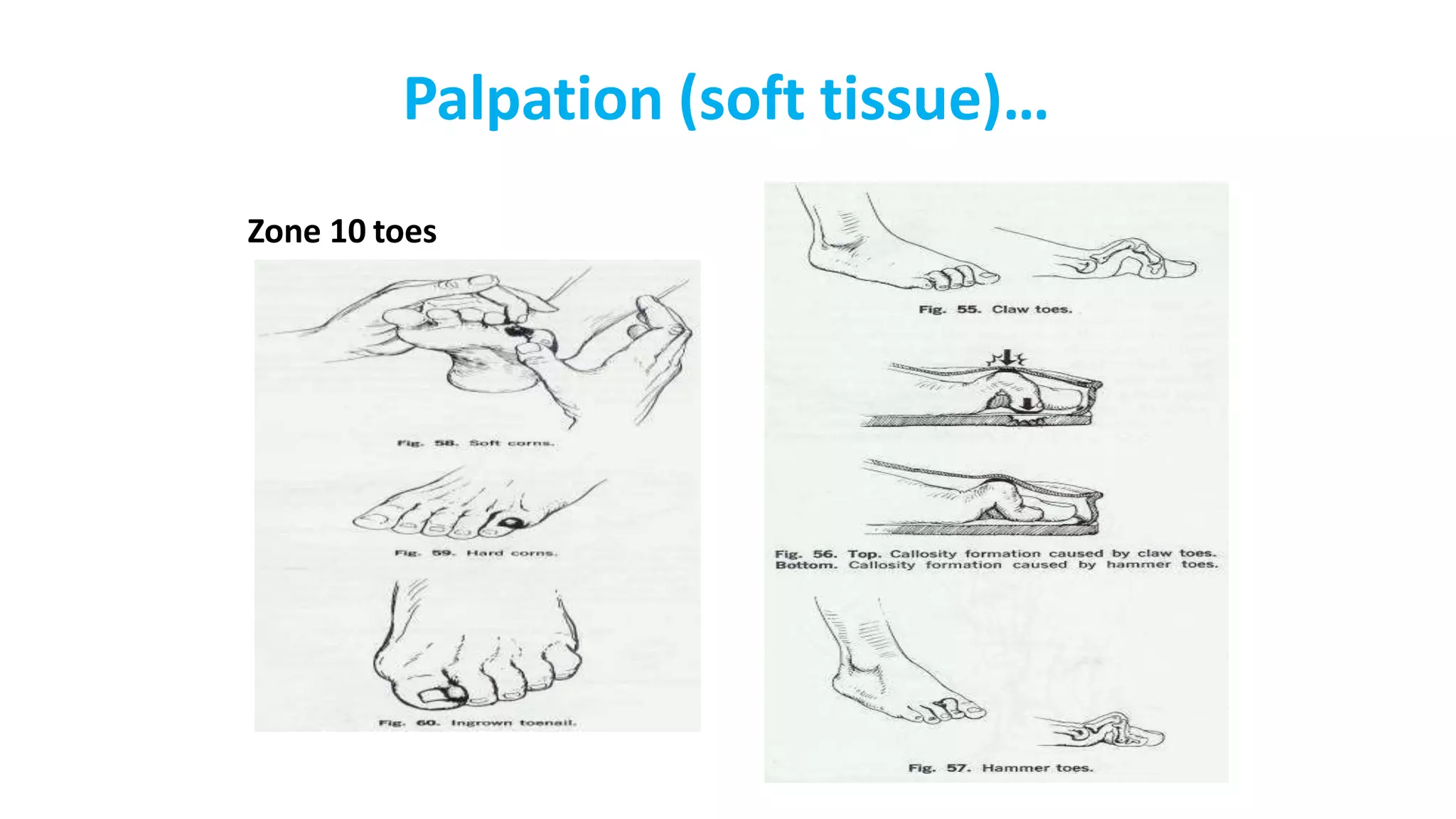 Presentation14.pptx