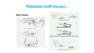 Palpation (soft tissue)…
Zone 10 toes
 