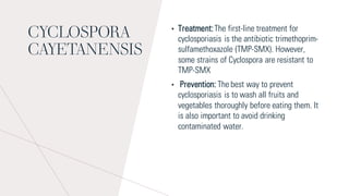 CYCLOSPORA
CAYETANENSIS
• Treatment:The first-line treatment for
cyclosporiasis is the antibiotic trimethoprim-
sulfamethoxazole (TMP-SMX). However,
some strains of Cyclospora are resistant to
TMP-SMX
• Prevention: The best way to prevent
cyclosporiasis is to wash all fruits and
vegetables thoroughly before eating them. It
is also important to avoid drinking
contaminated water.
 