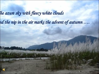 The azure sky with fleecy white clouds and the nip in the air marks the advent of autumn …. 