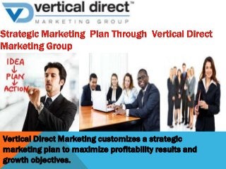 Vertical Direct Marketing customizes a strategic
marketing plan to maximize profitability results and
growth objectives.

 