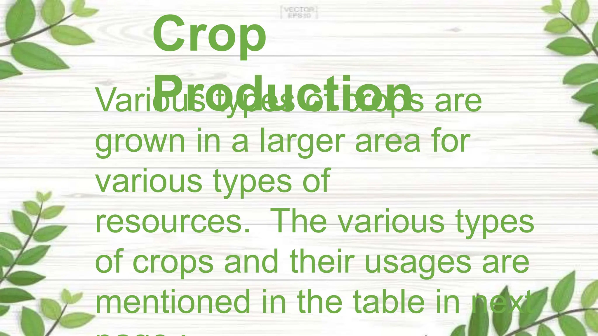 Crop
Production
Various types of crops are
grown in a larger area for
various types of
resources. The various types
of crops and their usages are
mentioned in the table in next