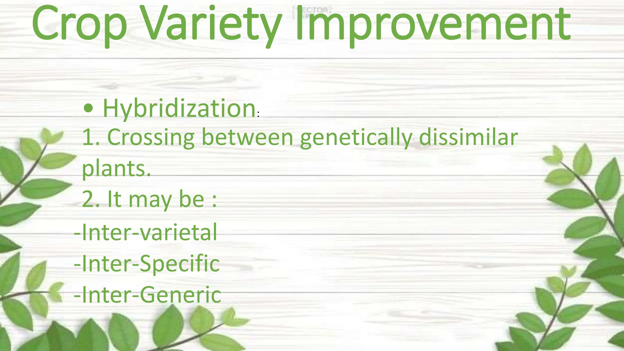 Crop Variety Improvement
• Hybridization:
1. Crossing between genetically dissimilar
plants.
2. It may be :
-Inter-varietal
-Inter-Specific
-Inter-Generic