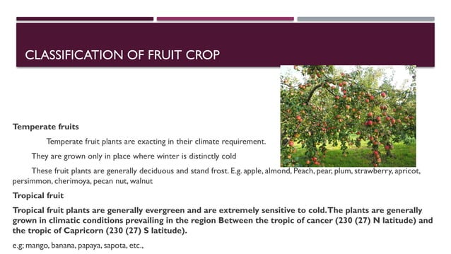Scope and importance of fruits and plantation crops | PPTX ...