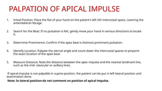 Apical Direction Cardiology examination palpation Presentation (1) 5.pptx