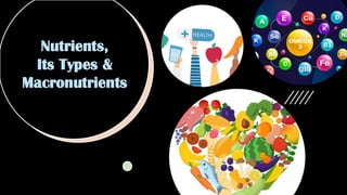 Nutrient Function Overview Comprehensive Overview of Nutrients: Types, Functions, and Dietary ...