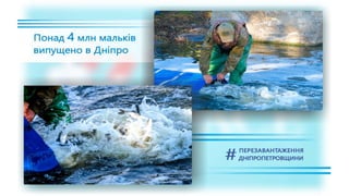 1557 днів Валентина Резніченка в ДніпроОДА