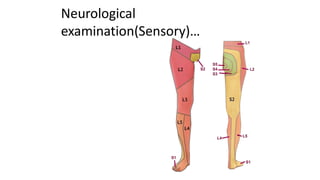 Neurological
examination(Sensory)…
 