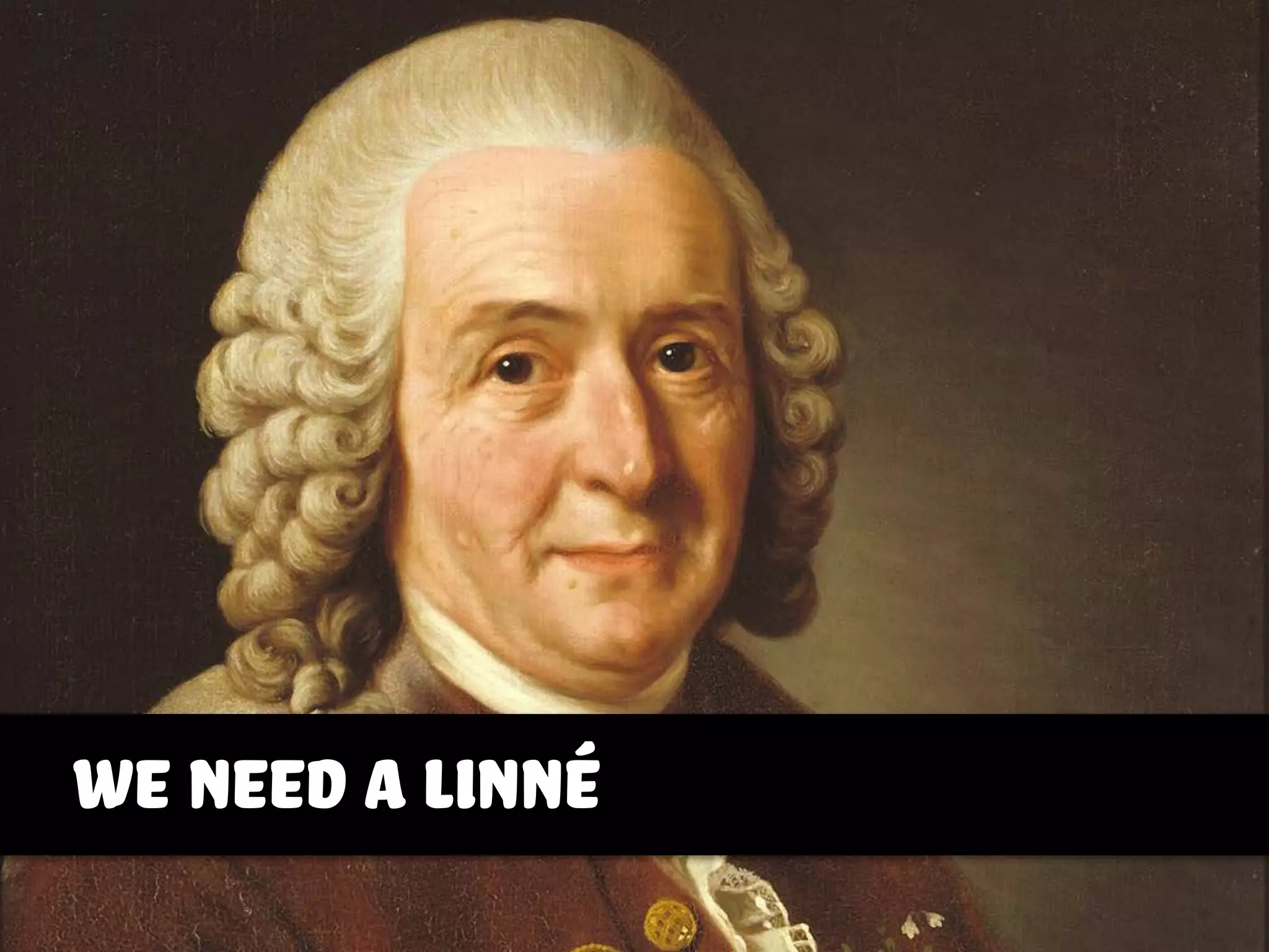we need a linné
 