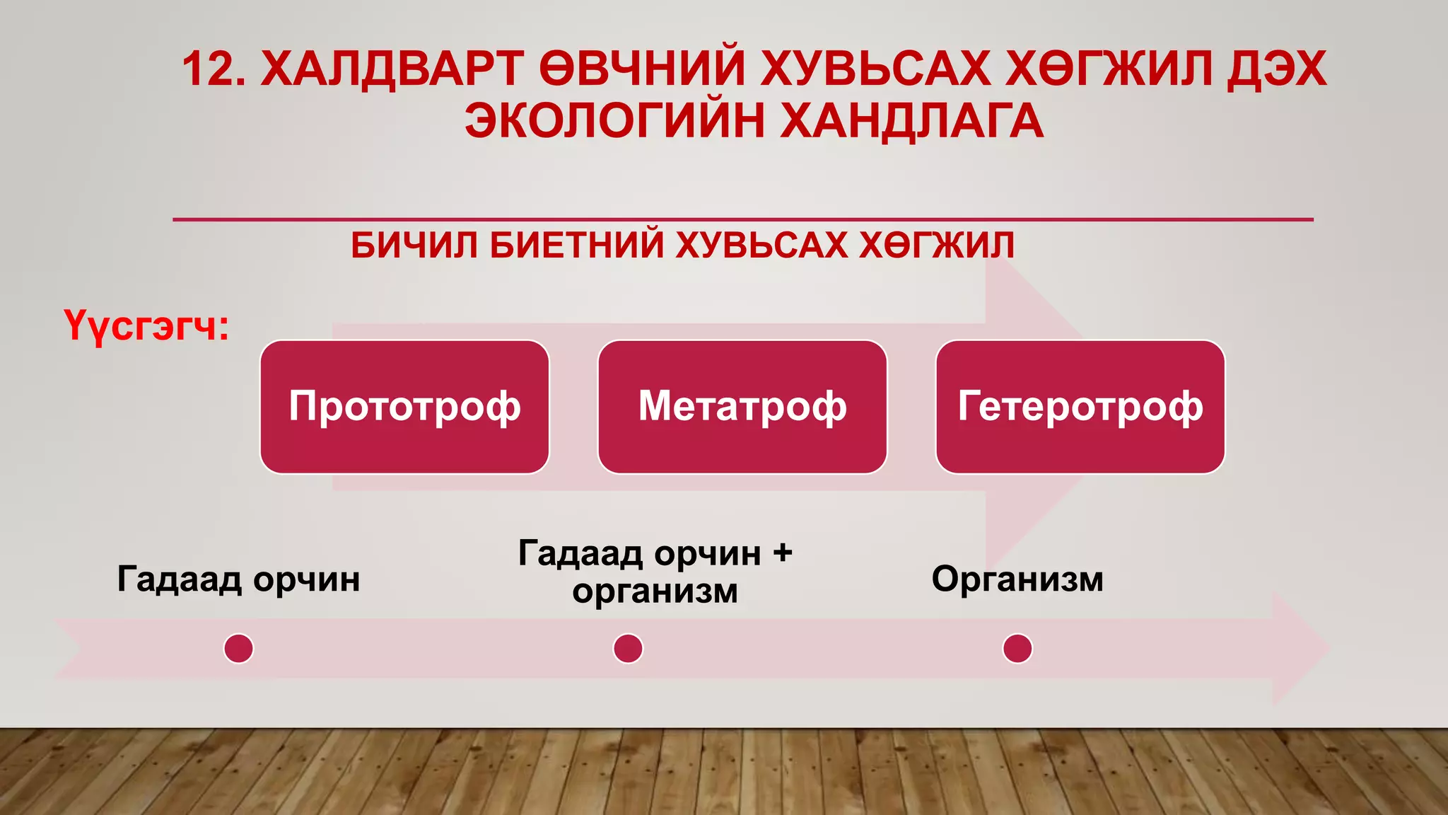 Үүсгэгч:
Прототроф Метатроф Гетеротроф
Гадаад орчин
Гадаад орчин +
организм Организм
12. ХАЛДВАРТ ӨВЧНИЙ ХУВЬСАХ ХӨГЖИЛ ДЭХ
ЭКОЛОГИЙН ХАНДЛАГА
БИЧИЛ БИЕТНИЙ ХУВЬСАХ ХӨГЖИЛ
 