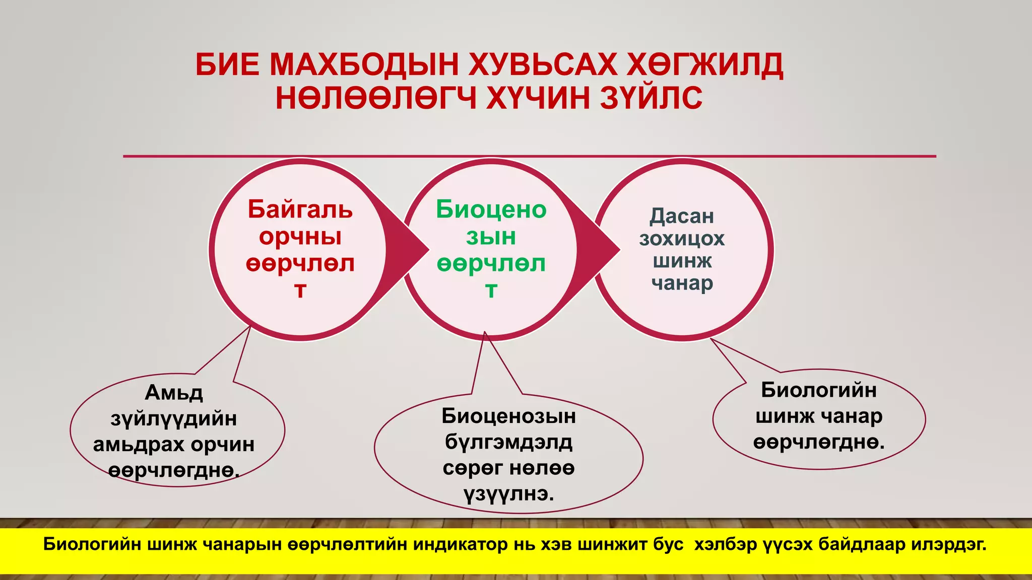 БИЕ МАХБОДЫН ХУВЬСАХ ХӨГЖИЛД
НӨЛӨӨЛӨГЧ ХҮЧИН ЗҮЙЛС
Биологийн шинж чанарын өөрчлөлтийн индикатор нь хэв шинжит бус хэлбэр үүсэх байдлаар илэрдэг.
Дасан
зохицох
шинж
чанар
Биоцено
зын
өөрчлөл
т
Байгаль
орчны
өөрчлөл
т
Амьд
зүйлүүдийн
амьдрах орчин
өөрчлөгднө.
Биоценозын
бүлгэмдэлд
сөрөг нөлөө
үзүүлнэ.
Биологийн
шинж чанар
өөрчлөгднө.
 