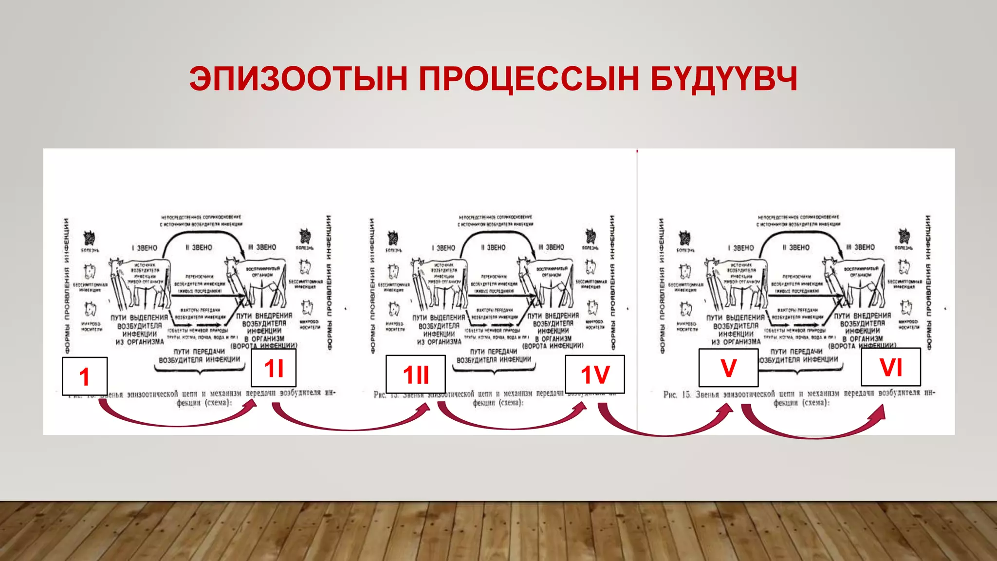 ЭПИЗООТЫН ПРОЦЕССЫН БҮДҮҮВЧ
1 1I 1II 1V V VI
 