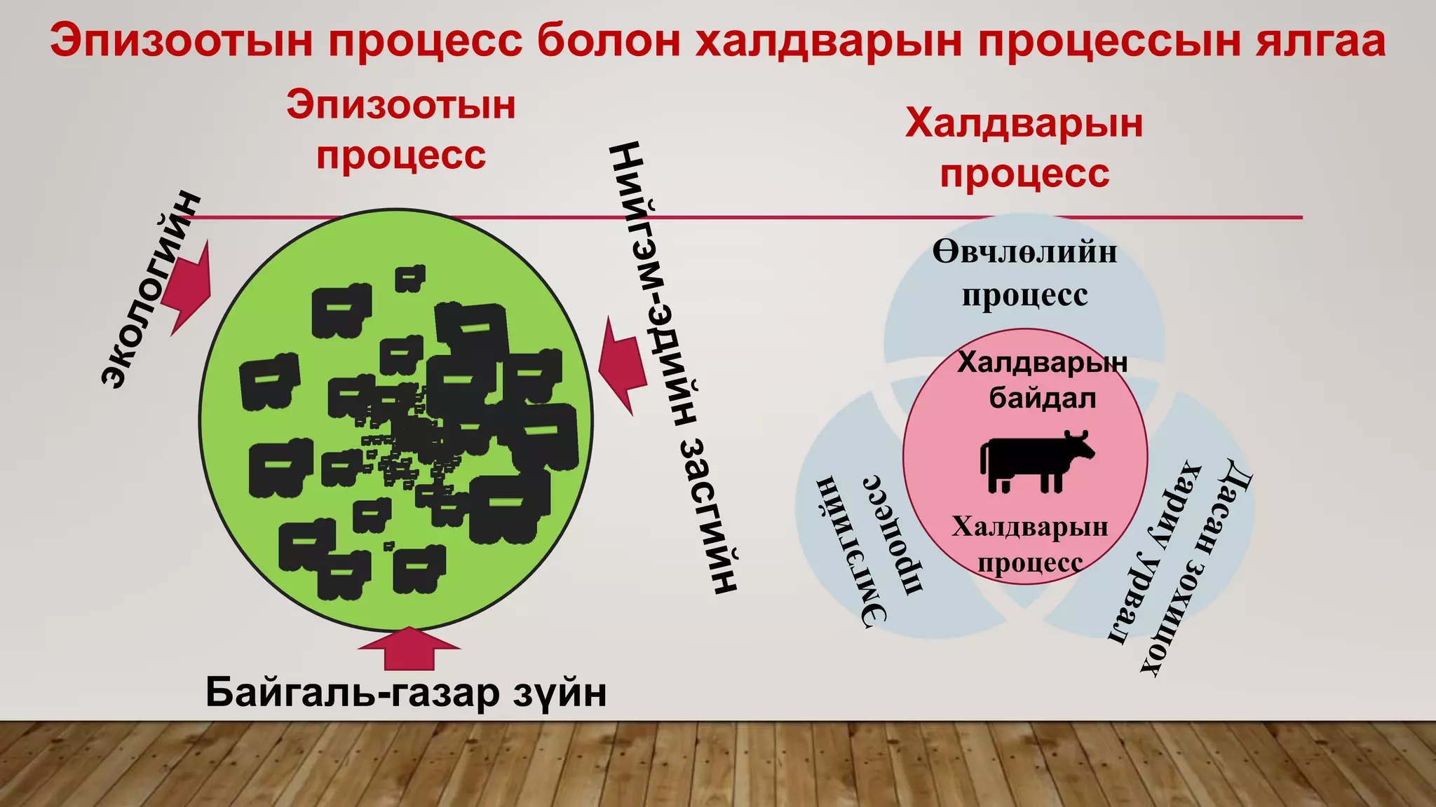 Өвчлөлийн
процесс
Халдварын
процесс
Эпизоотын процесс болон халдварын процессын ялгаа
Байгаль-газар зүйн
Халдварын
байдал
Эпизоотын
процесс
Халдварын
процесс
 