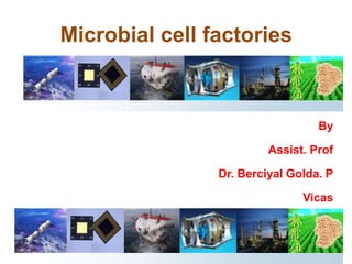 Microbial cell factories
By
Assist. Prof
Dr. Berciyal Golda. P
Vicas
 