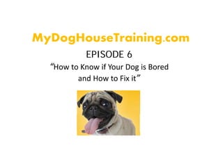 MyDogHouseTraining.com
 y g             g
            EPISODE 6
  “How to Know if Your Dog is Bored 
         and How to Fix it”
         and How to Fix it
 