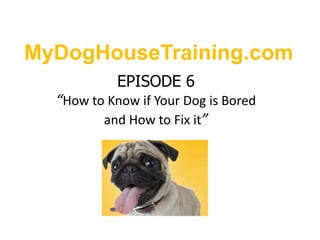 MyDogHouseTraining.com EPISODE 6“How to Know if Your Dog is Bored and How to Fix it” 