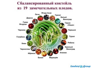 .
Сбалансированный коктейль
из 19 замечательных плодов.
Ягода Асаи
Банан
Личи
Дереза
Гуава
Ягодная
Черника
Голубика
Киви
Чернослив
Абрикос
Маракуйя
Клюква
Красный
Виноград
Рябина
Груша
Черешня
Груша
«Наши»
Белый
Виноград
Гранат
 