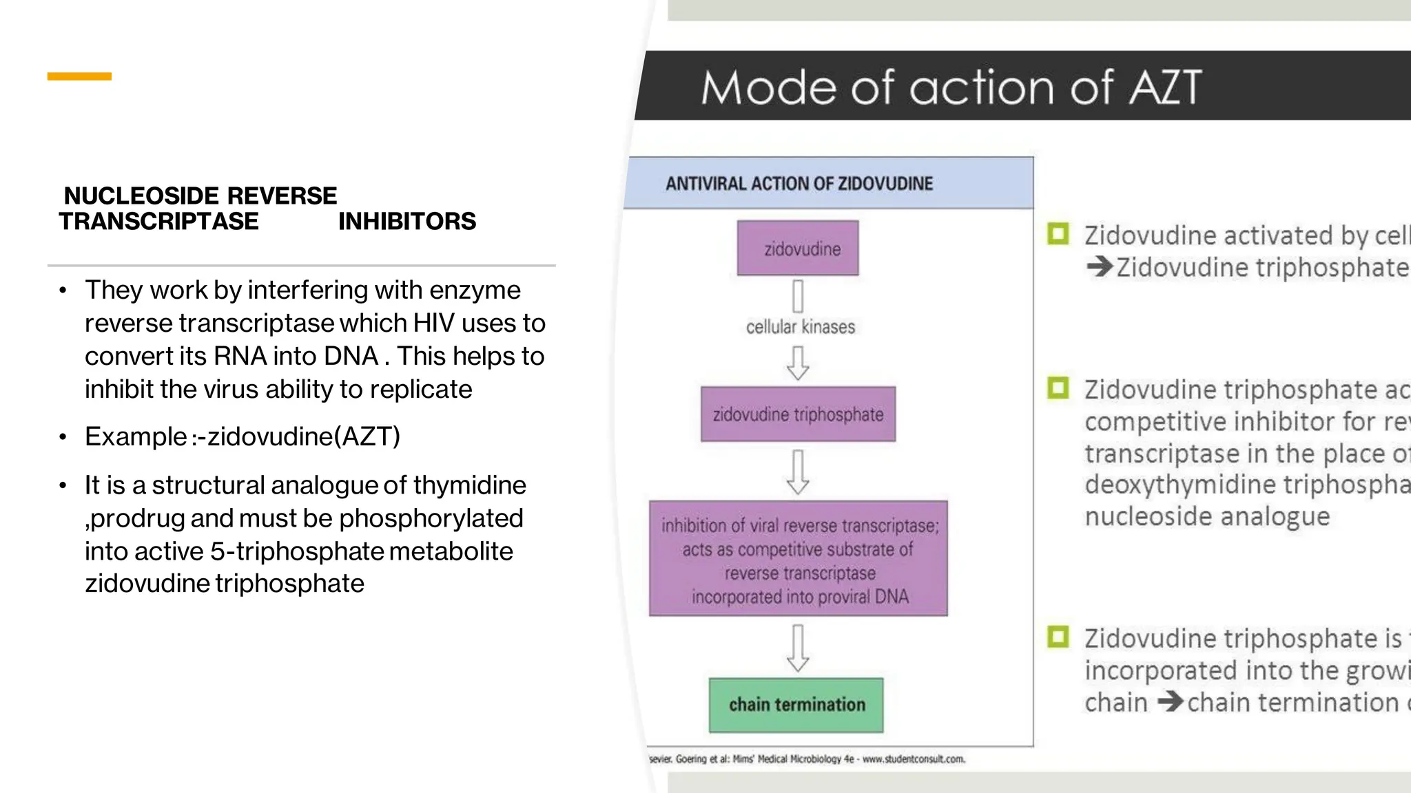 Anti viral drug pharmacology classification | PDF