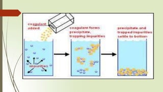 Downstream Processing | PPTX