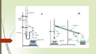 Downstream Processing | PPTX