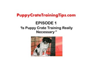 PuppyCrateTrainingTips.com
          EPISODE 1
 “Is Puppy Crate Training Really
          Necessary”
 