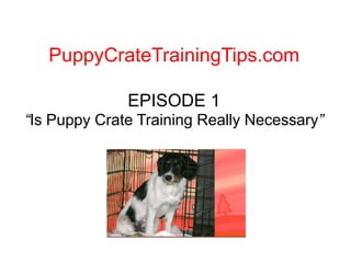 PuppyCrateTrainingTips.com EPISODE 1“Is Puppy Crate Training Really Necessary” 